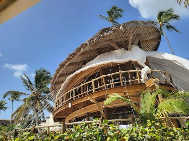 Jellyfish Restaurant's thatched beachfront structure beneath palms